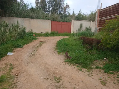 Vente Terrain Boumerdès Ouled moussa