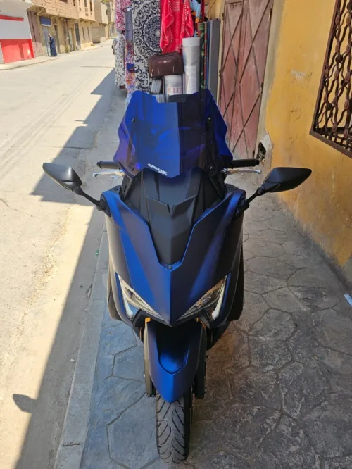 Tamx Tamx 2019