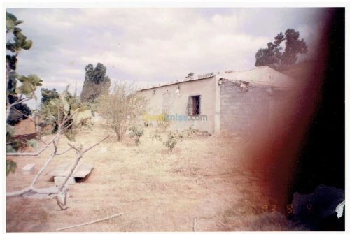 Vente Terrain Boumerdès Thenia
