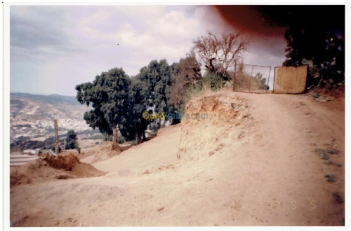 Vente Terrain Boumerdès Thenia