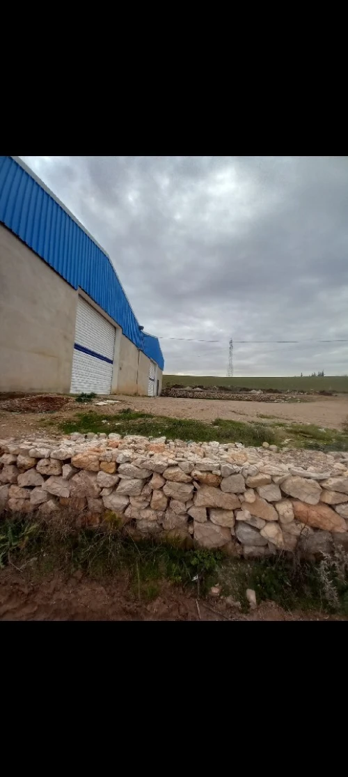 Location Hangar - Usine Constantine Ain smara
