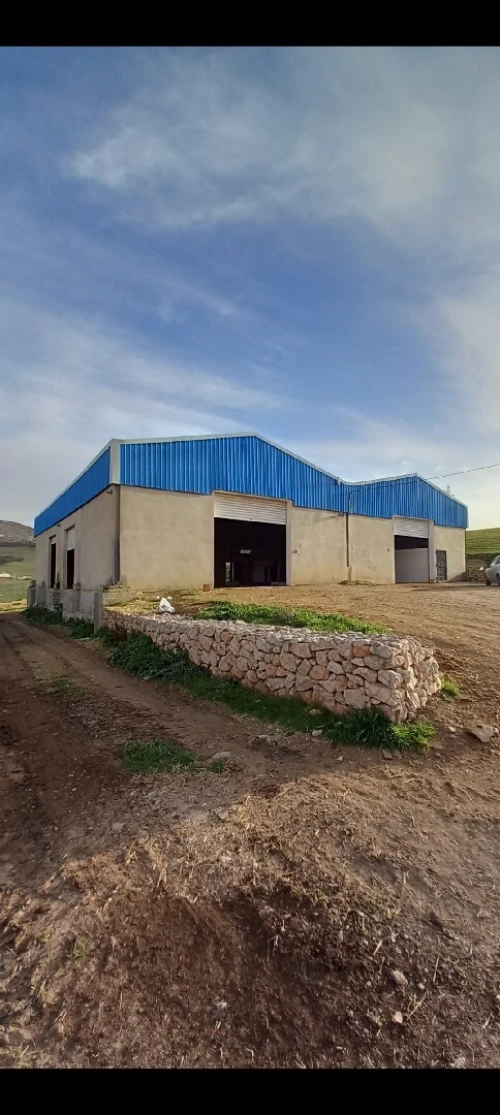 Location Hangar - Usine Constantine Ain smara