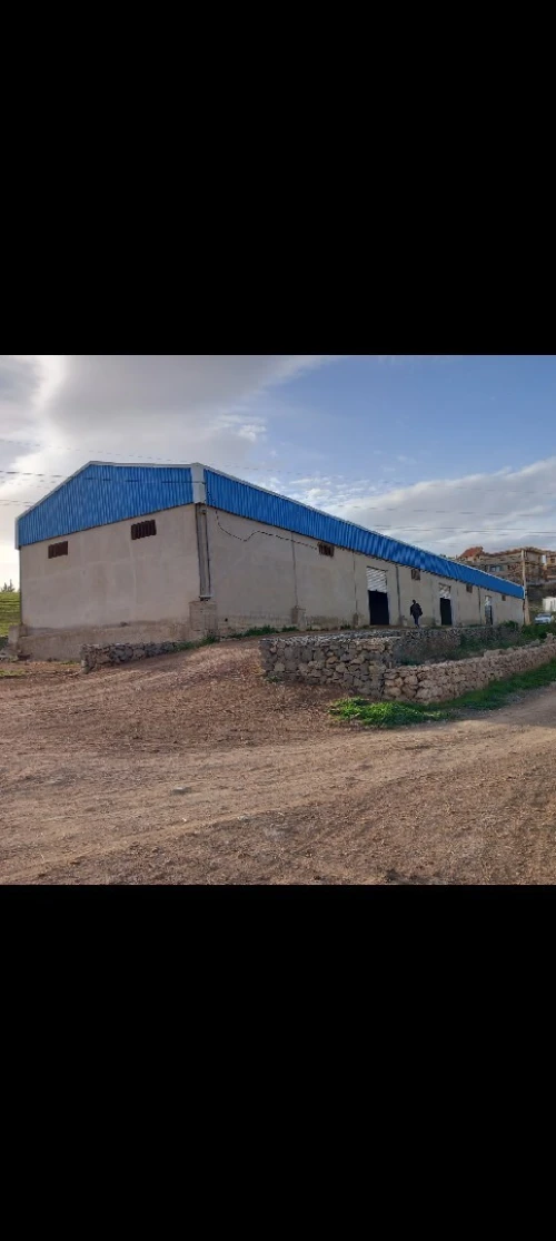 Location Hangar - Usine Constantine Ain smara