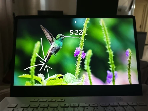 Asus ROG Zephyrus g14| Ryzen 9 5900HS, 32Ram, RTX 3060 6 Go, 2k 120hz (Sans SSD!)