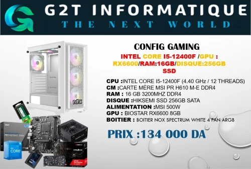 CONFIG GAMING : INTEL I5-12400F/16GB/RX 6600 8GB