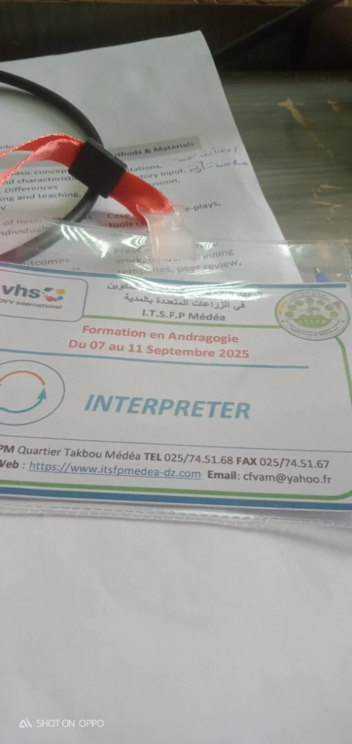 Professional Interpreter / Translator  Arabic - French - English -German