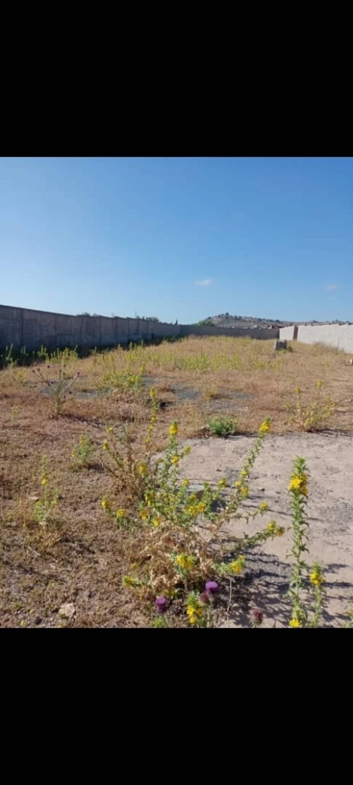 Vente Terrain Bouira Oued el berdi