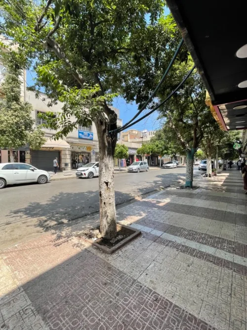Vente Local Oran Oran