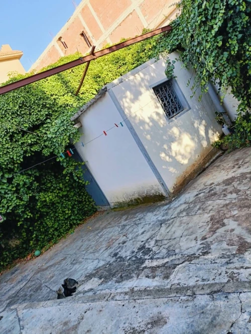 Vente Villa Tlemcen Tlemcen