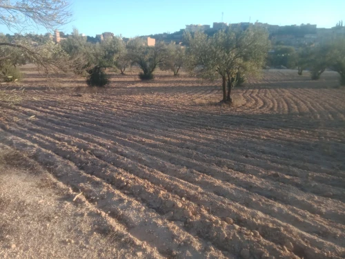 Vente Terrain Bouira Ath mansour taourirt