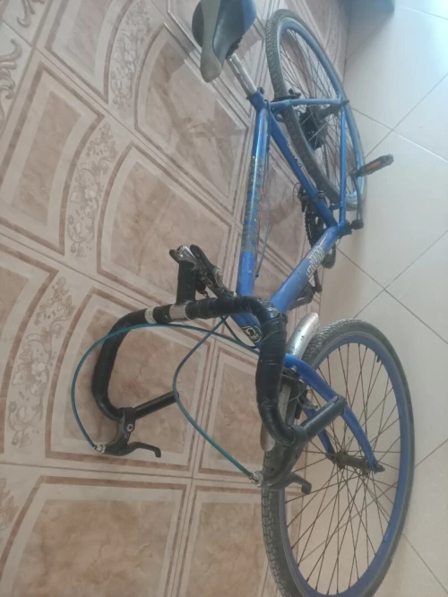 Vélo magnum