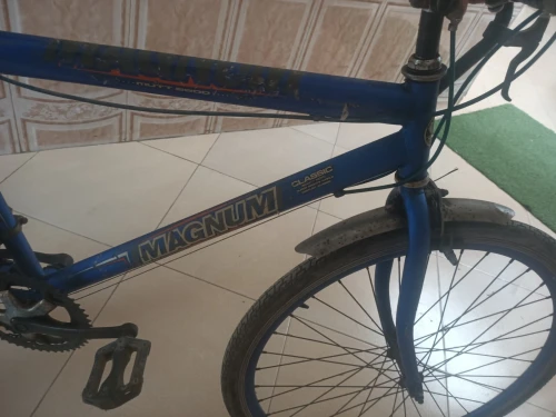 Vélo magnum