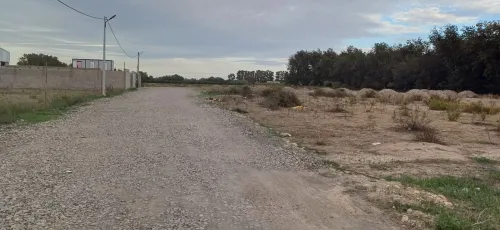 Location Terrain Alger Ouled chebel