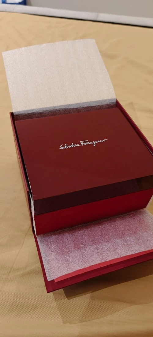 Montre salvatore ferragamo