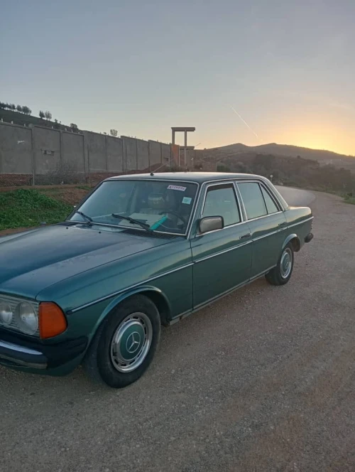 Mercedes W123 1980 