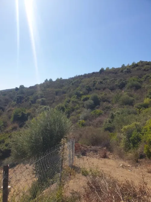 Vente Terrain Béjaïa Bejaia