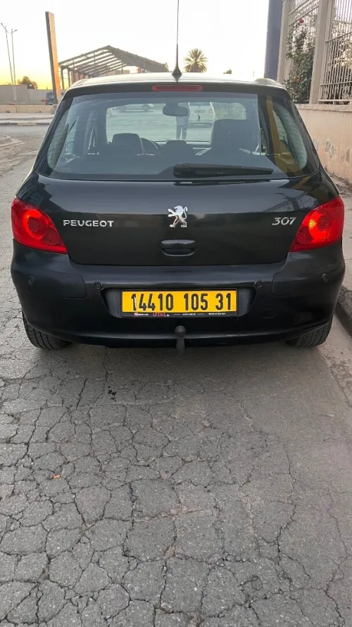 Peugeot 307 2005 307