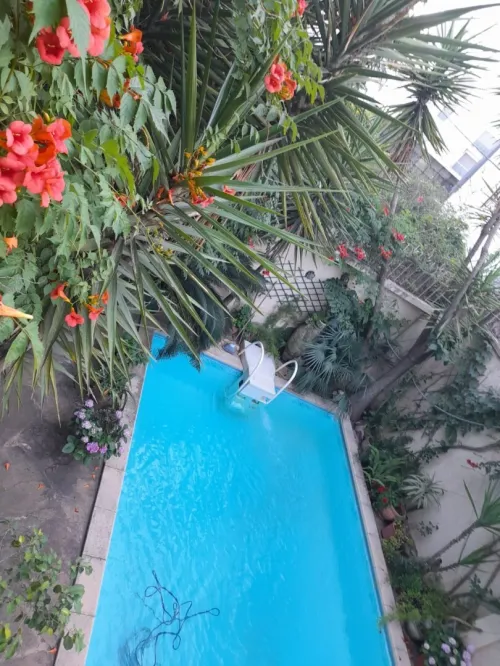 Location Appartement Niveau de villa F2 Alger Hydra