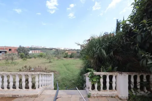 Vente Terrain Tipaza Kolea