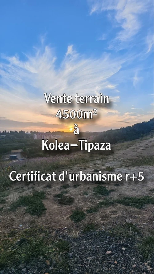 Vente Terrain Tipaza Kolea