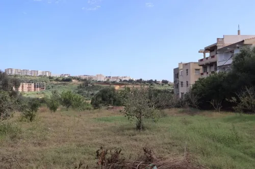 Vente Terrain Tipaza Kolea