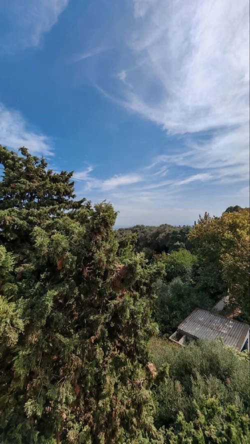Vente Villa Tipaza Kolea