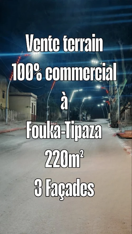 Vente Terrain Tipaza Fouka