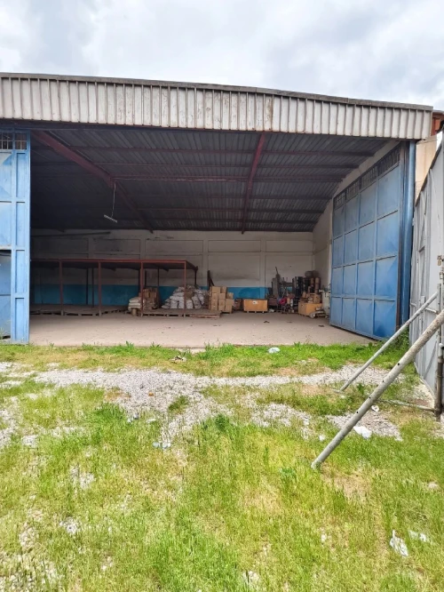 Vente Hangar - Usine Blida Ben khellil