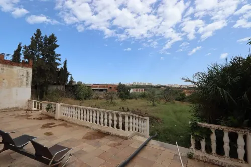 Vente Terrain Tipaza Kolea