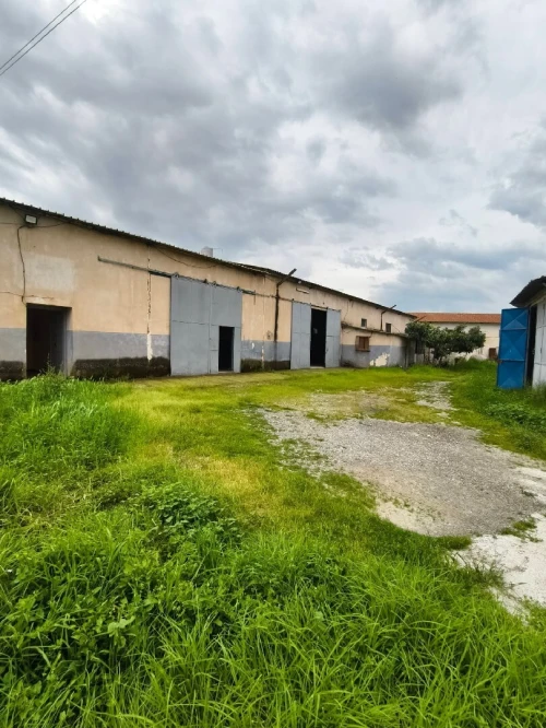 Vente Hangar - Usine Blida Ben khellil