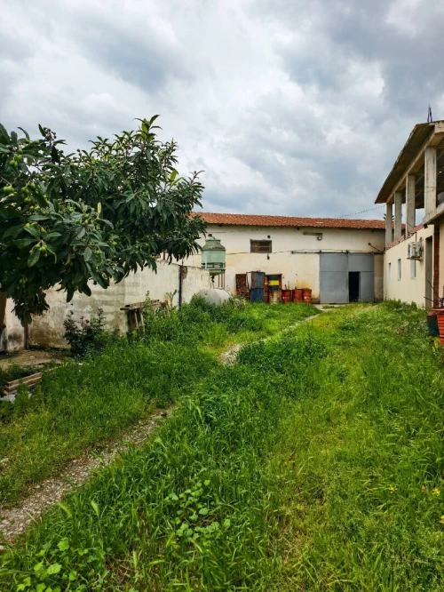 Vente Hangar - Usine Blida Ben khellil