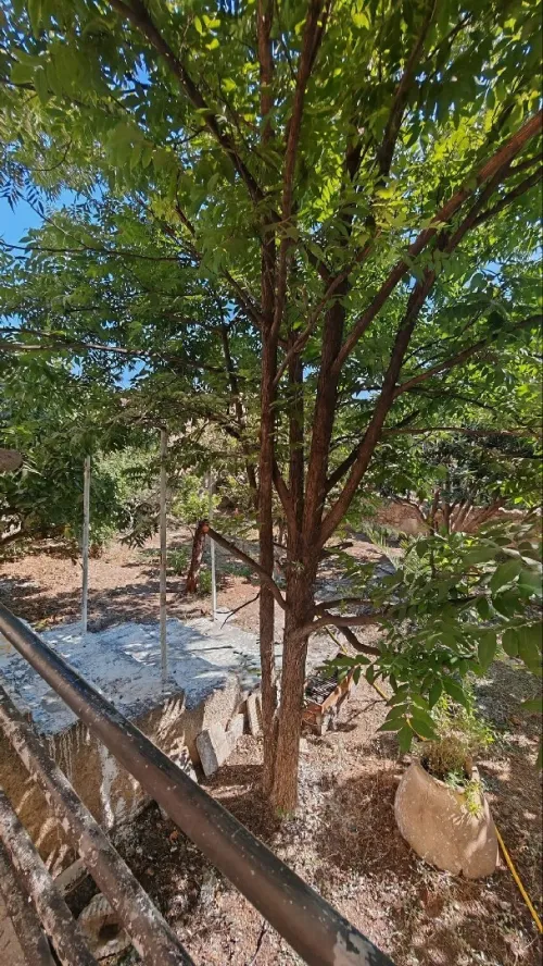 Vente Villa Tipaza Kolea