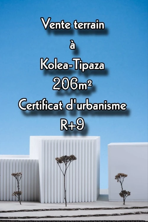 Vente Terrain Tipaza Kolea