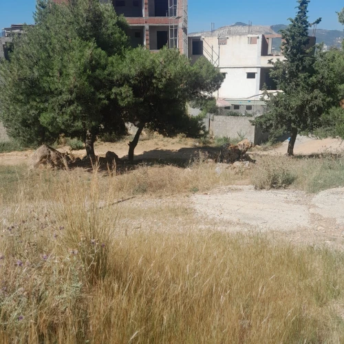 Vente Terrain Béjaïa Bejaia