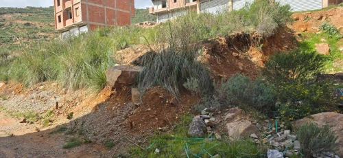 Vente Terrain Béjaïa Oued ghir
