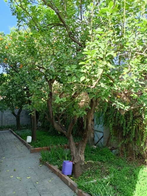 Vente Villa Guelma Guelma