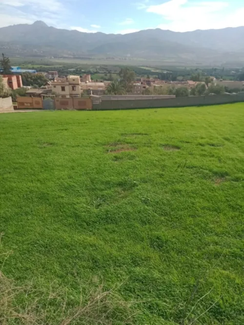 Vente Terrain Béjaïa Ouzellaguen