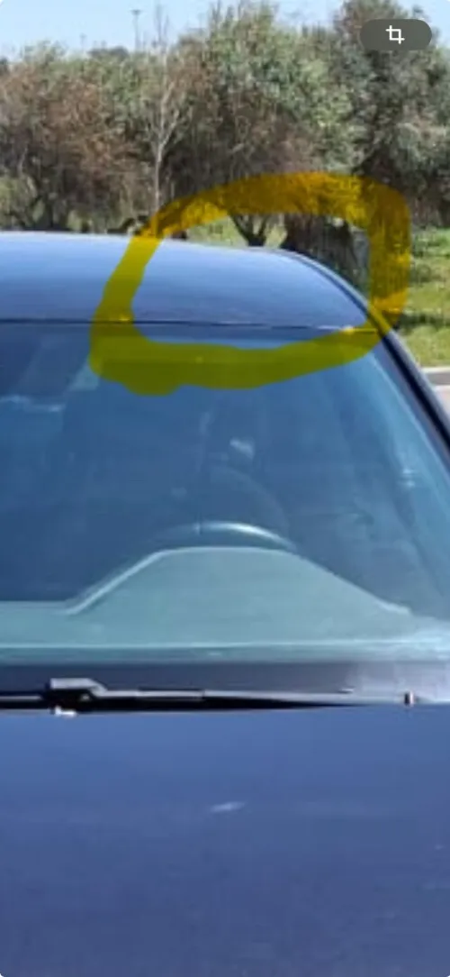 Volkswagen Polo 2023 Style