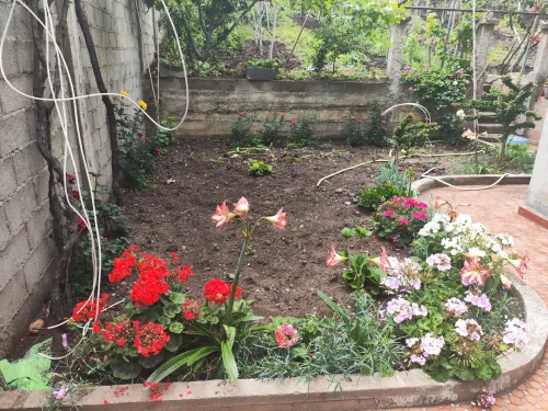 Vente Villa Boumerdès Djinet