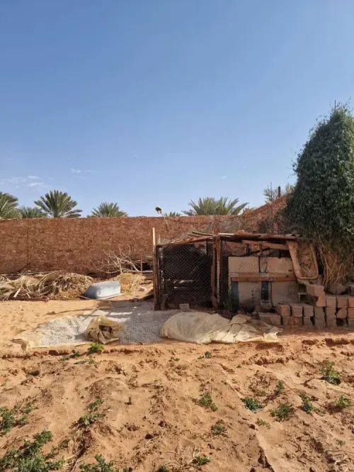 Vente Terrain Timimoun Timimoun