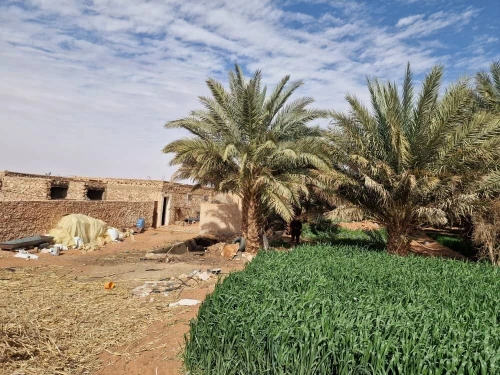 Vente Terrain Timimoun Timimoun