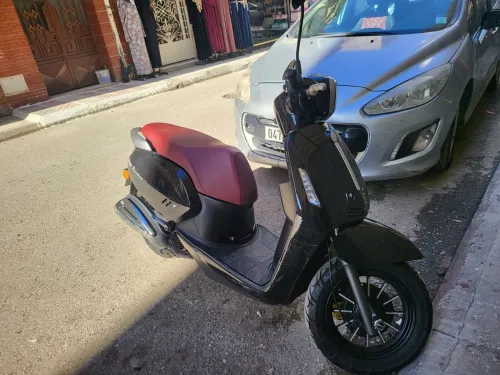Vms Benelli 2022