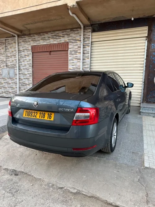 Skoda Octavia 2018 Business