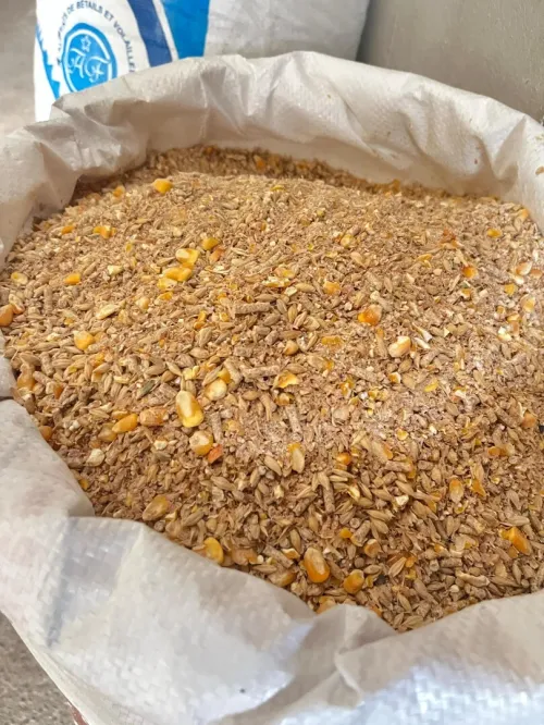 Aliment de betail تغدية الأنعام و الدواجن