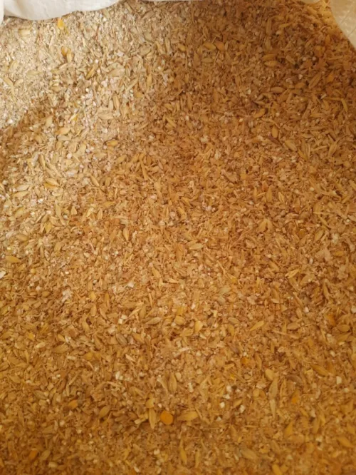 Aliment de betail تغدية الأنعام و الدواجن