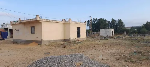 Vente Terrain El Tarf Raml souk souarekh