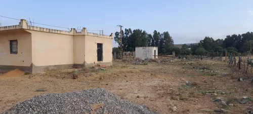 Vente Terrain El Tarf Raml souk souarekh