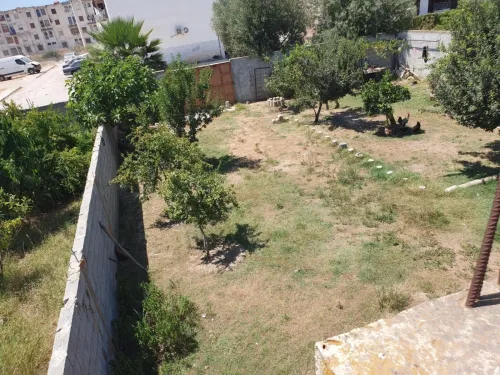 Vente Immeuble El Tarf Ain el assel