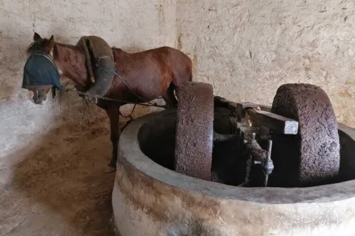 HUILERIE D'OLIVES TRADITIONNELLE ADEKAR Akfadou
