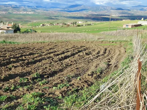 Vente Terrain Mila Mila